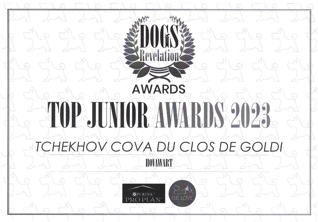 Du Clos De Goldi - Tchekhov Nominé TOP JUNIOR AWARD de Dogs Revelation!!!