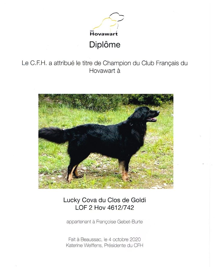 Du Clos De Goldi - Lucky Meilleur Champion  à la Régionale, Titre de Champion du CFH!!!