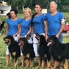  - Les Hayaklause vainqueur de la NE Finlandaise (302 chiens inscrits!
