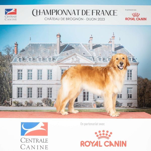 Du Clos De Goldi - Championnat de France 2023: RCACIB pour Hanna!