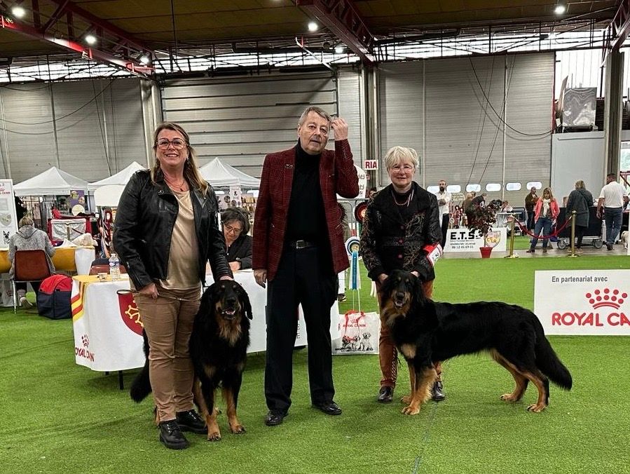 Du Clos De Goldi - Ales National Dog Show (2j): Tsuki RCACS et CACS, BOS