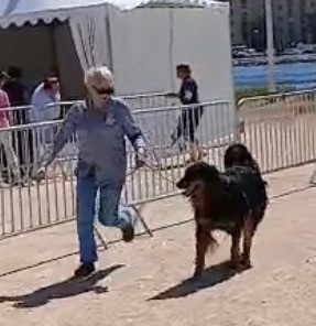 Du Clos De Goldi - Expo Nationale -Speciale de Race àMartigues: Tsuki BOB!!