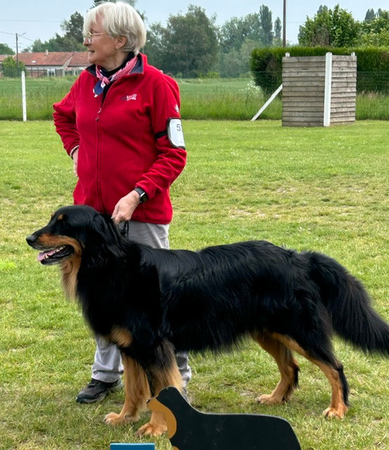 Nationale d'Elevage-Bucy Le Long Tsuki fait Excellent 3 , pas vraiment de surprise