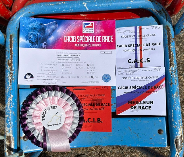20 Juin :CACIB spéciale de race du Championnat de France. Tsuki la meilleure !!!!!! BOB!!!!