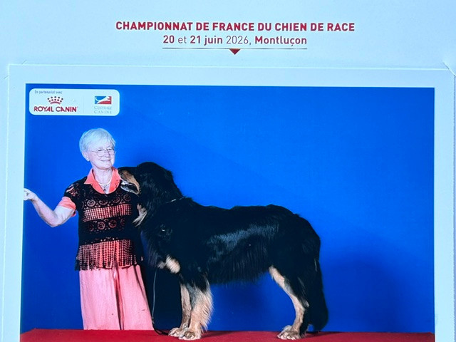 21 Juin: Championnat de France: Tsuki remet ça: Exc 1, CAC-T, CACIB et cette fois BOS!!!!!