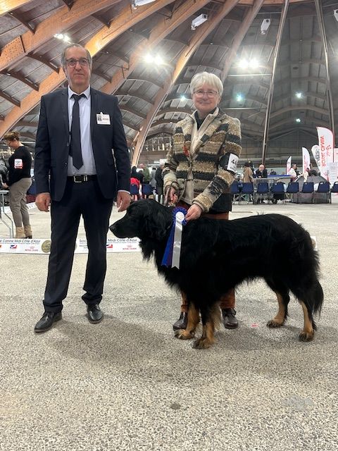 Du Clos De Goldi - Lucky obtient son 3e CAC-Vet, et valide son titre de Champion des EN-V