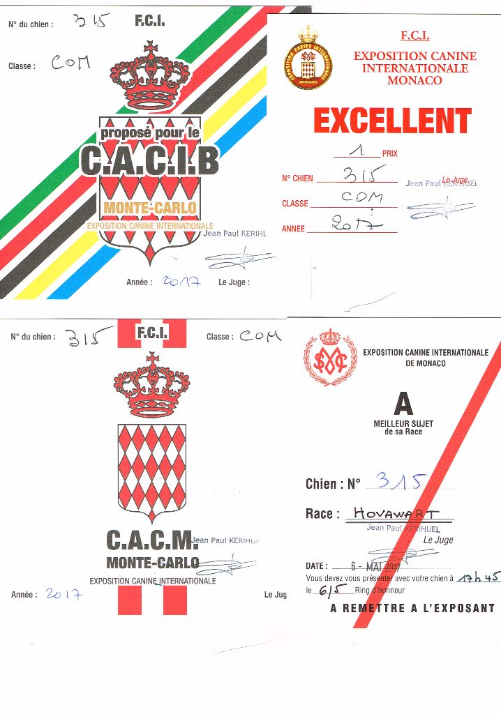 Du Clos De Goldi - Exposition Internationale de Monaco 6/5/17: Lucky CACM, CACIB, BOB!!!