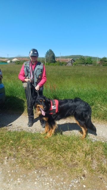 Premier concours RU pour Tsuki à la Tour d'Ariege