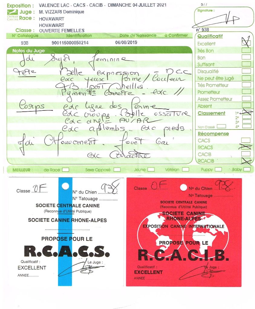 Du Clos De Goldi - Exposition De Valence: RCACS et RCACIB pour Hanna!