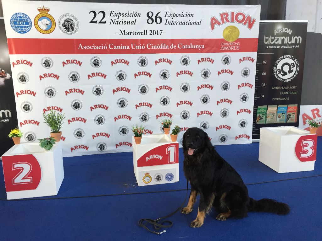 Du Clos De Goldi - Lucky en Espagne (Martorell) , EXC1