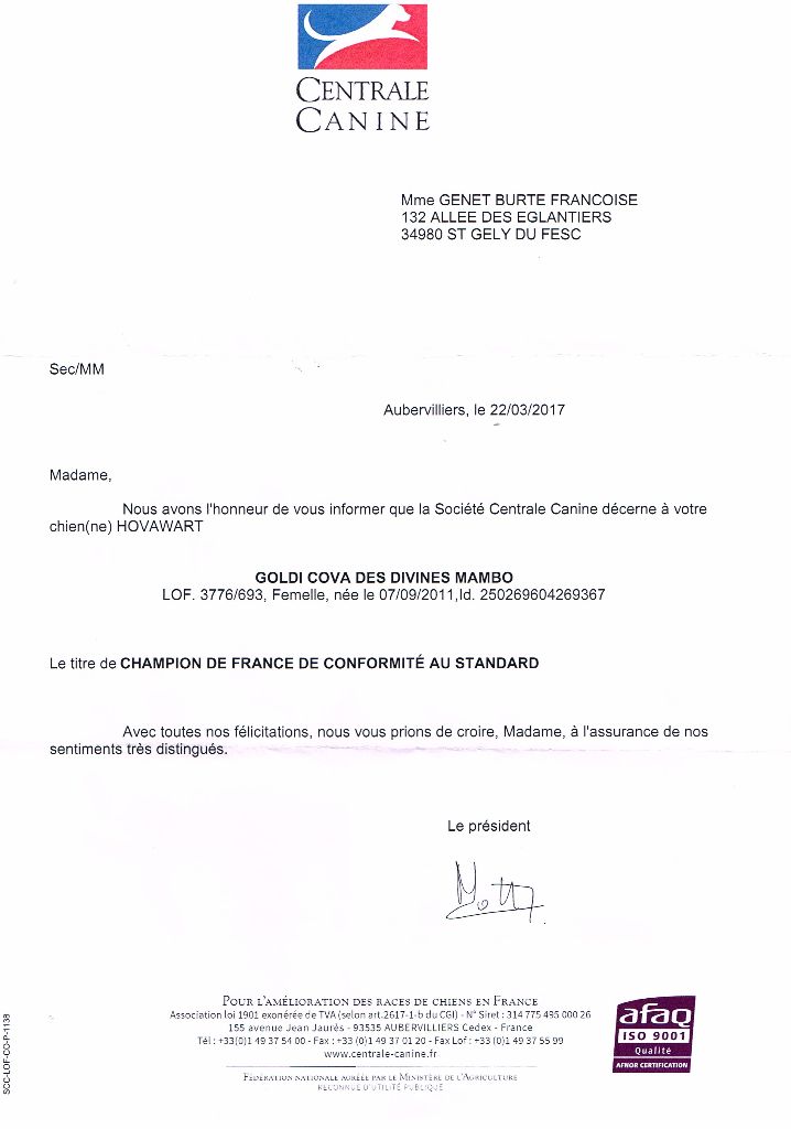 Du Clos De Goldi - GOLDI COVA CHAMPION DE FRANCE DE CONFORMITE STANDARD