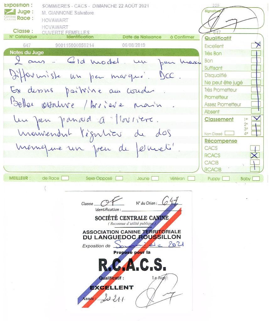Du Clos De Goldi - 22 Août: Spéciale De Sommières, RCACS de nouveau