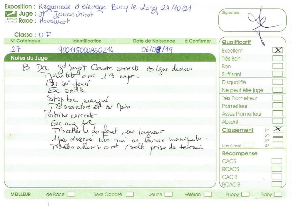 Du Clos De Goldi - Regionale d'Elevage de Bucy Le Long, 24/10/21: cette fois EXC1 en CO!