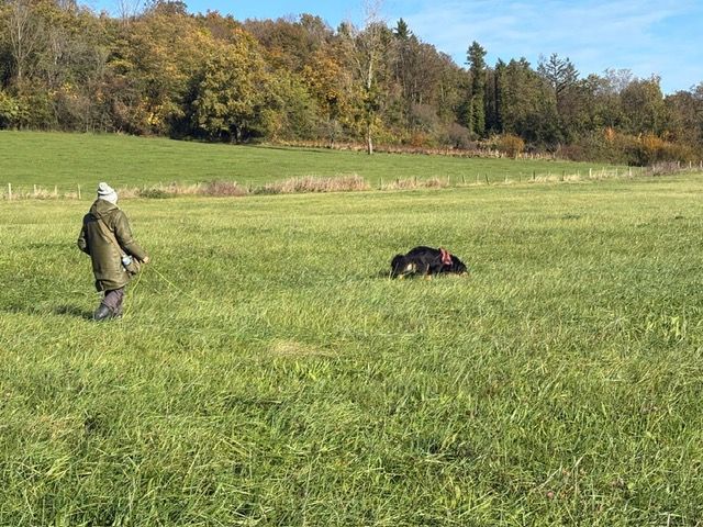 Du Clos De Goldi - 26/10/2025: Brevet de Recherche Utilitaire réussi pour Tsuki