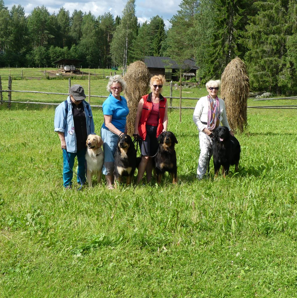 Du Clos De Goldi - Super résultats en Finlande (29 et 30/07/2017)!