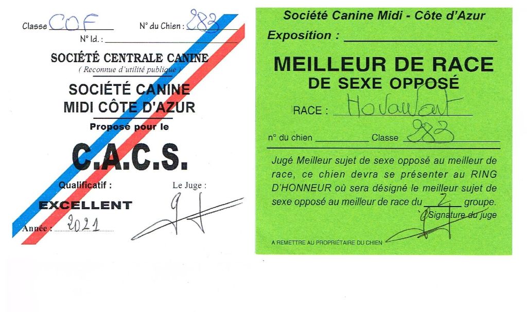 Du Clos De Goldi - CAC Trets 20 Juin 2021: Hanna obtient son premier CAC!!!