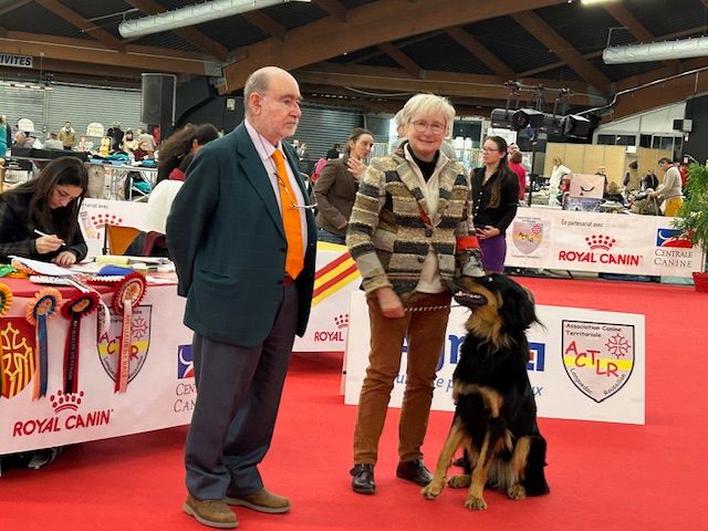 Du Clos De Goldi - Janvier 2024: bon début...CAC, CACIB et BOB pour Tsuki à Perpignan!
