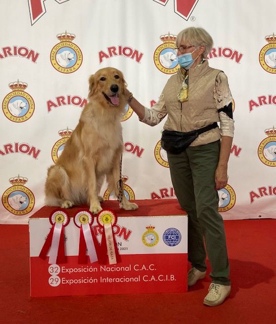 Du Clos De Goldi - Castellon(Espagne): Hanna CACS,CACIB, BOB