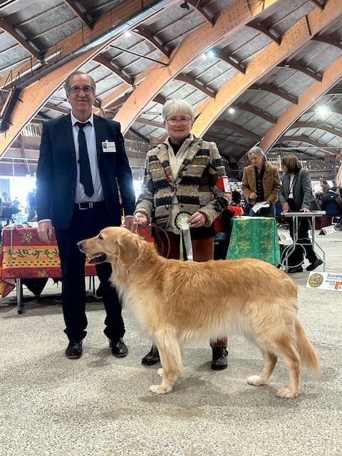 Du Clos De Goldi - Lady Meilleur Vétéran, dans les 10 meilleurs sur le ring d'honneur!!
