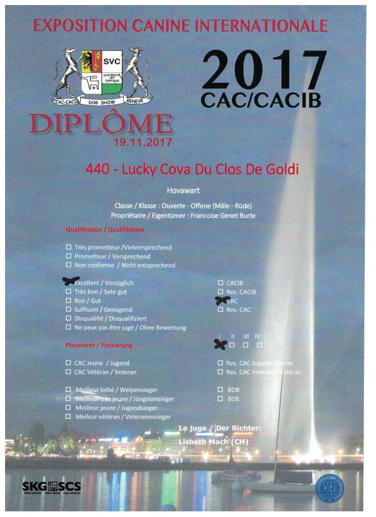 Du Clos De Goldi - Geneve 19/11/2017: Lucky EXC1, CAC !!